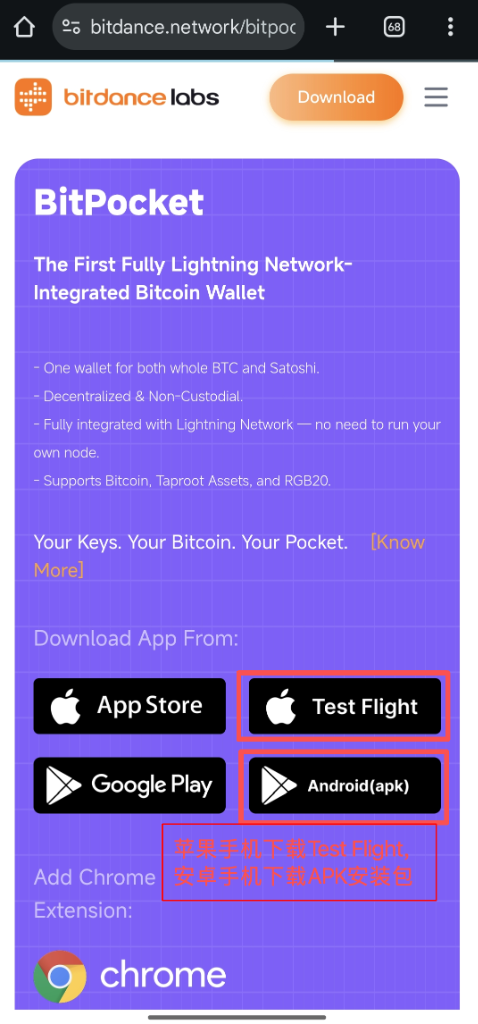 下载BitPocket安装包